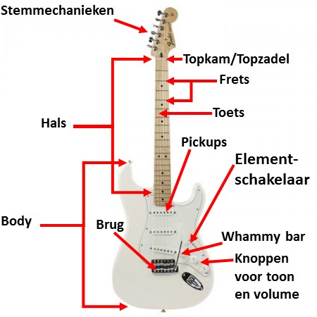 Anatomie gitaar