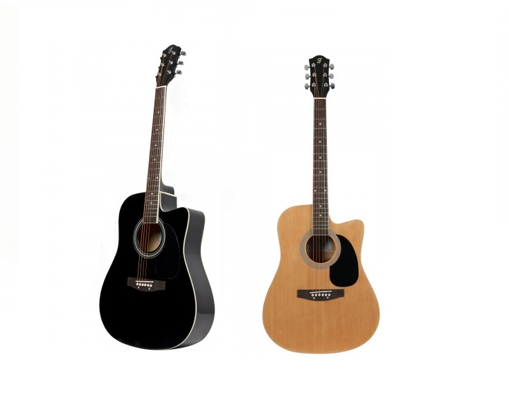 zak bossen Levering Fazley W50CN of Fazley W50CBK kopen: perfecte gitaar voor beginners -  GitaarGabber